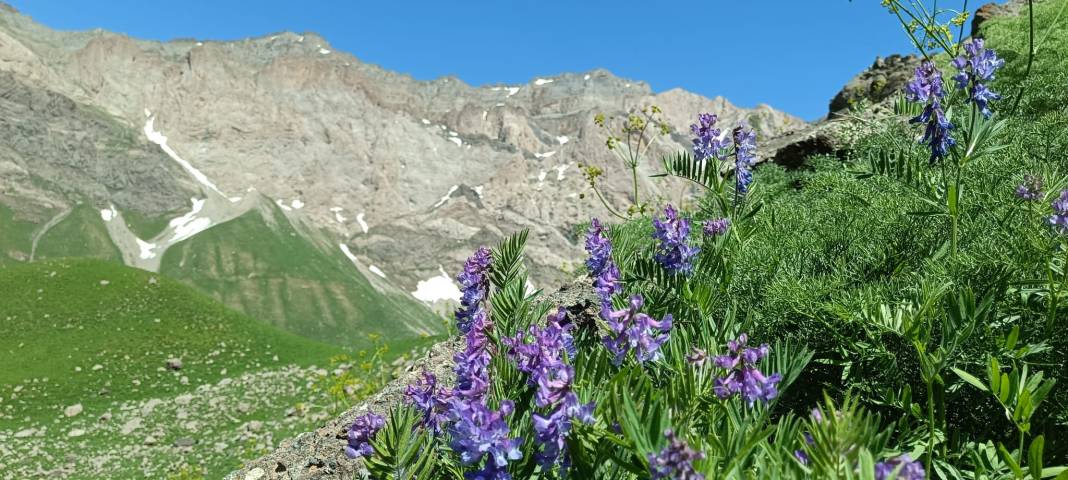 Hakkari'nin Cennet-Cehennem Vadisi Foto Galeri 12
